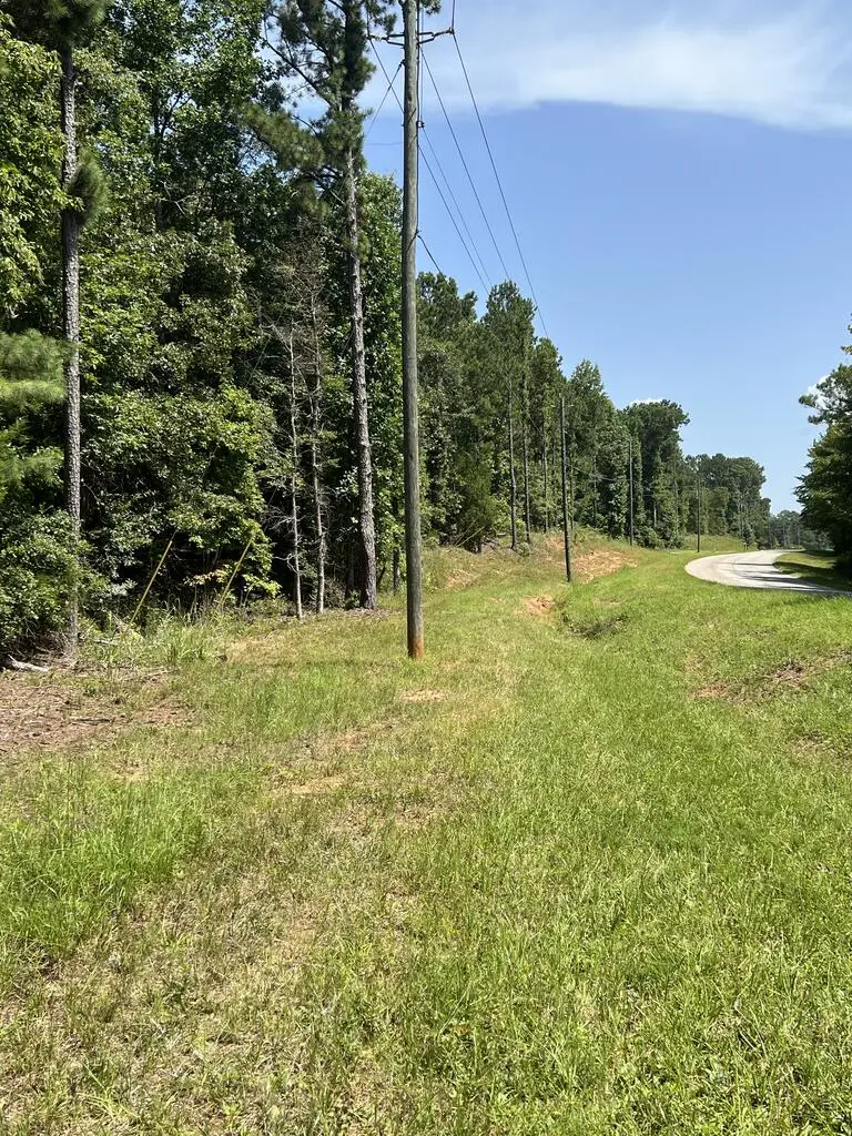 0 Davidson Road, West Point, GA 31833 - #3