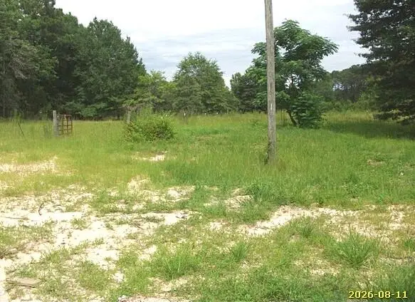 180 Mount Zion Church Road, Mauk, GA 31058 - #2