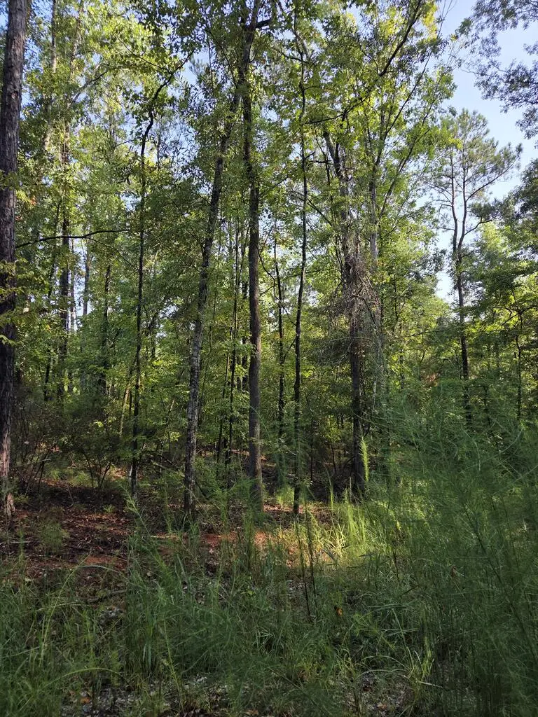 3982 Essex Heights Court, Fortson, GA 31808 - #1