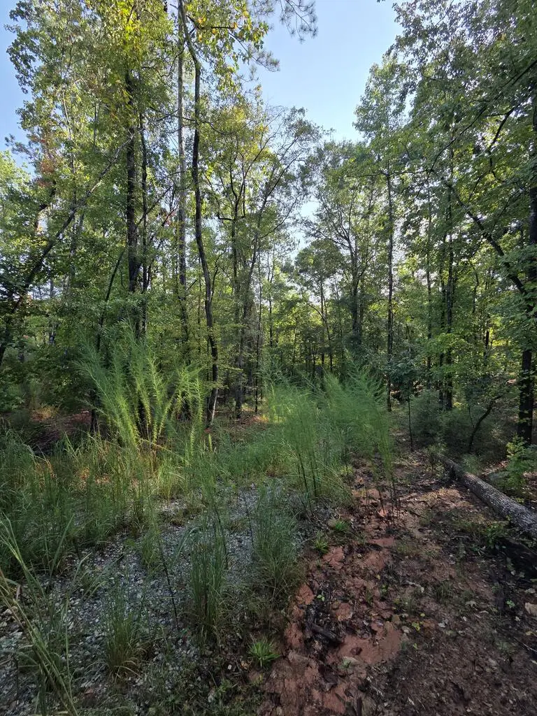 3982 Essex Heights Court, Fortson, GA 31808 - #2