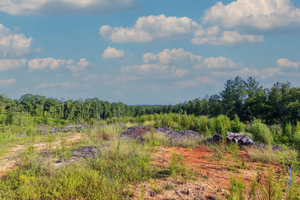 Tract 1 Highway 0036, Woodland, GA 31836 - #1