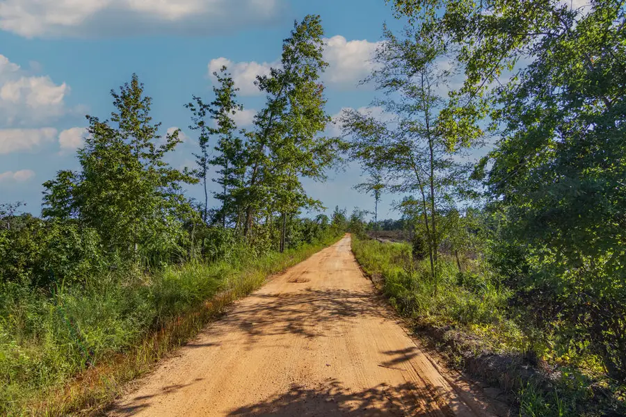 Tract 5 Carlisle Gap Road, Woodland, GA 31836 - #2