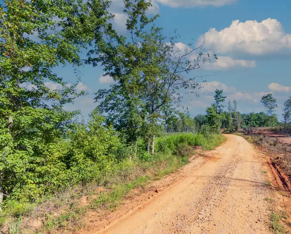 Tract 6 Carlisle Gap Road, WOODLAND, GA 31836
