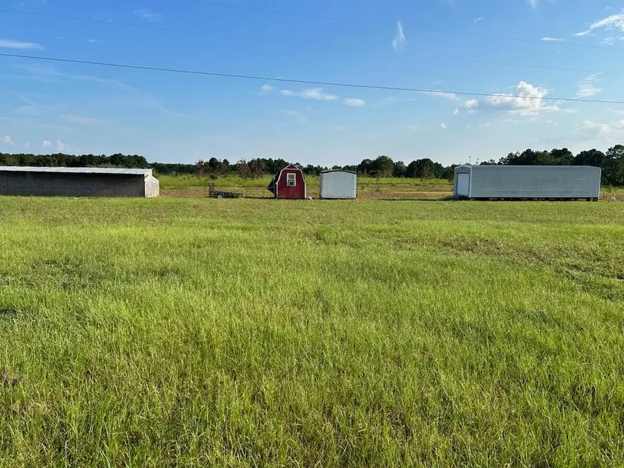 120 Junction City Road, Mauk, GA 31508 - #3