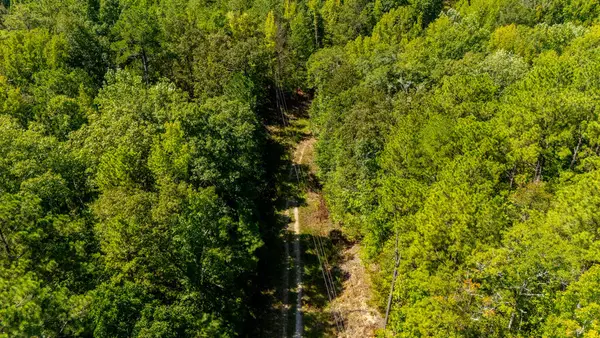 0 Woodcock Walk, FORTSON, GA 31808