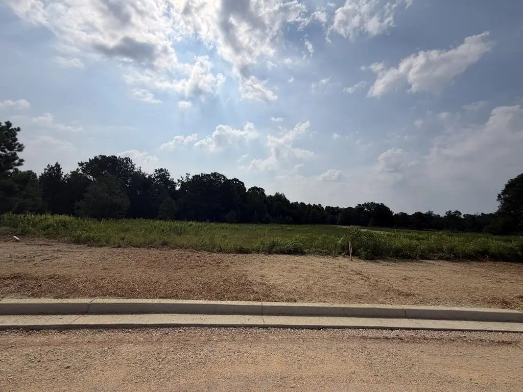 Lot 9 Homestead Lane, Smiths Station, AL 36877 - #1