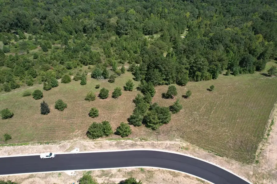 Lot 8 Homestead Lane, Smiths Station, AL 36877 - #2