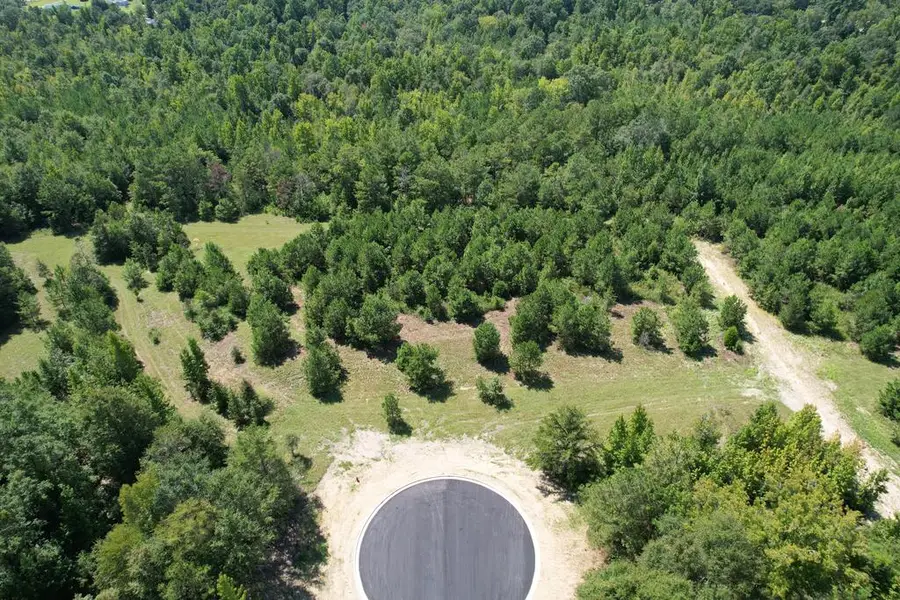 Lot 14 Homestead Lane, Smiths Station, AL 35877 - #2