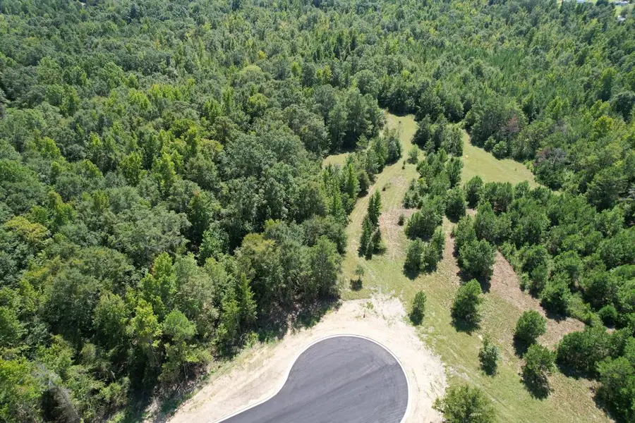 Lot 13 Homestead Lane, Smiths Station, AL 36877 - #2