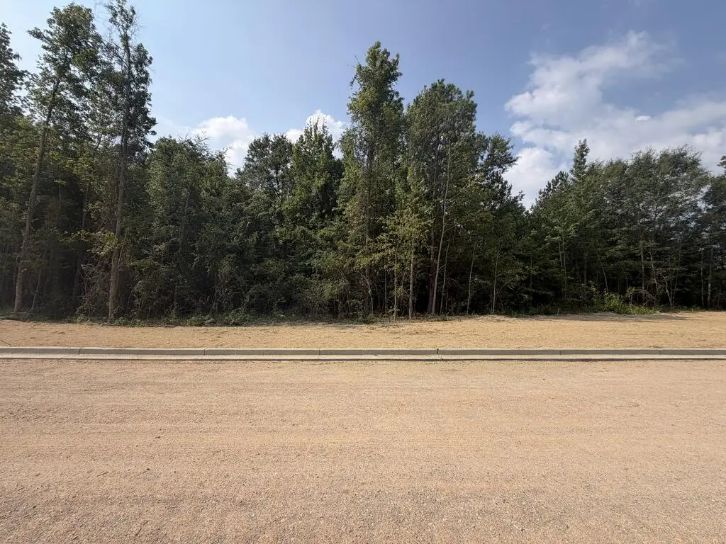 Lot 12 Honeydo Court, Smiths Station, AL 36877 - #1