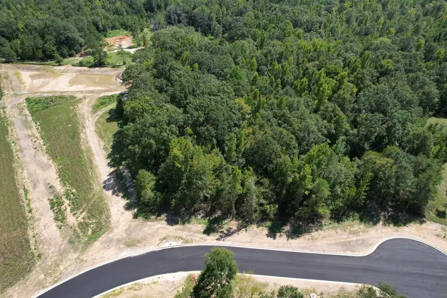 Lot 11 Honeydo Court, Smiths Station, AL 36877 - #2