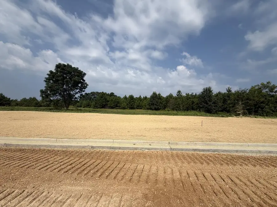 Lot 2 Homestead Lane, Smiths Station, AL 36877 - #2