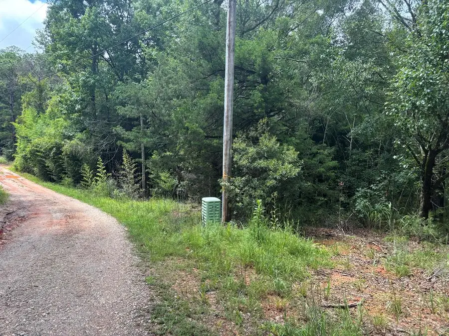 101 and 0 Indian Mountain Trail, Hamilton, GA 31811 - #2
