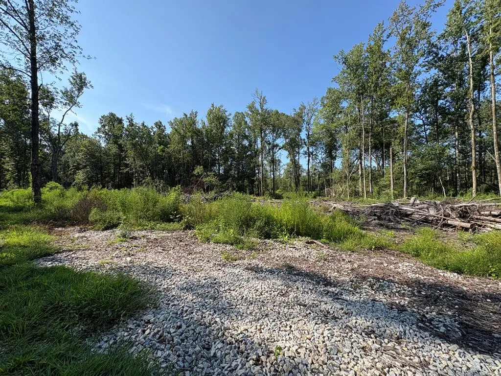 0 Lee Road 0300, Smiths Station, AL 36877 - #1