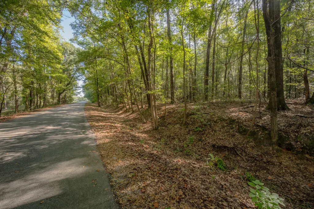 0 Briar Creek Road, Pittsview, AL 36871 - #1