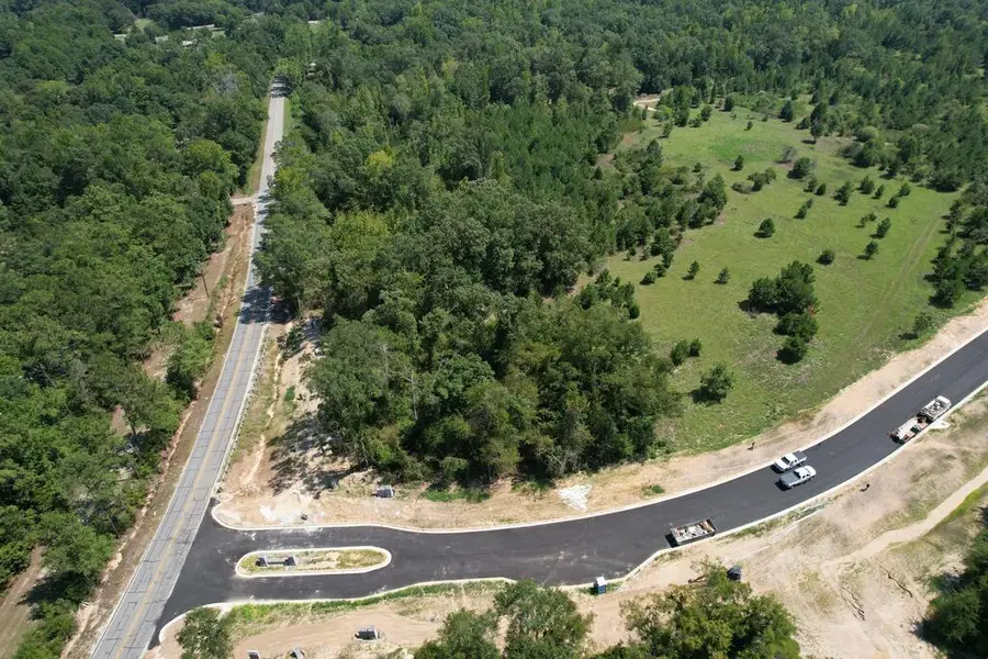 Lot 1 Homestead Lane, Smiths Station, AL 36877 - #2