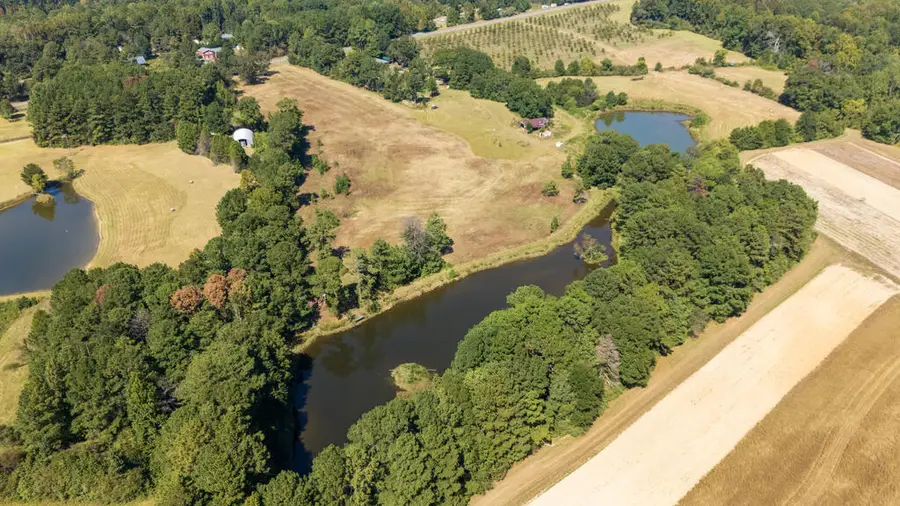 0 Highway 0208, Waverly Hall, GA 31831 - #2