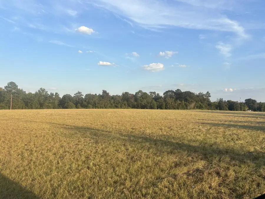 63 Hayes Road, Mauk, GA 31058 - #2