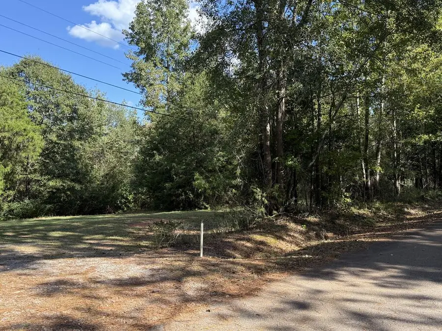 0 Hudson Drive, Hamilton, GA 31811 - #3