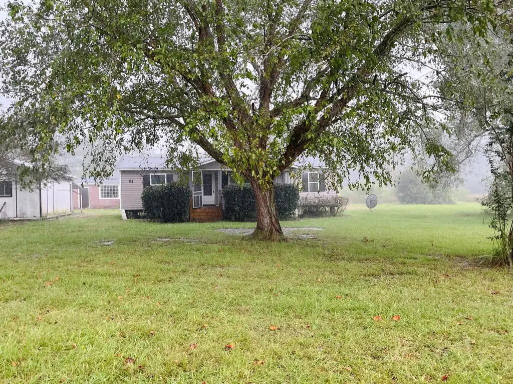 61 Amber Drive, Ray City, GA 31645 - #1