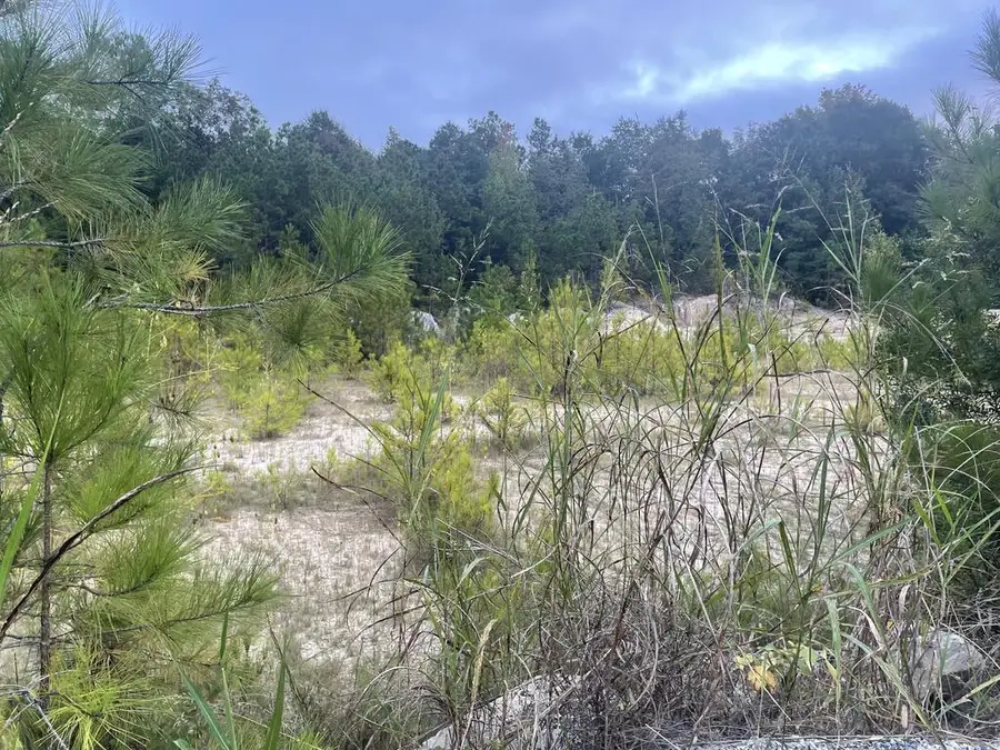 6007 Gleneden Drive, Columbus, GA 31907 - #3
