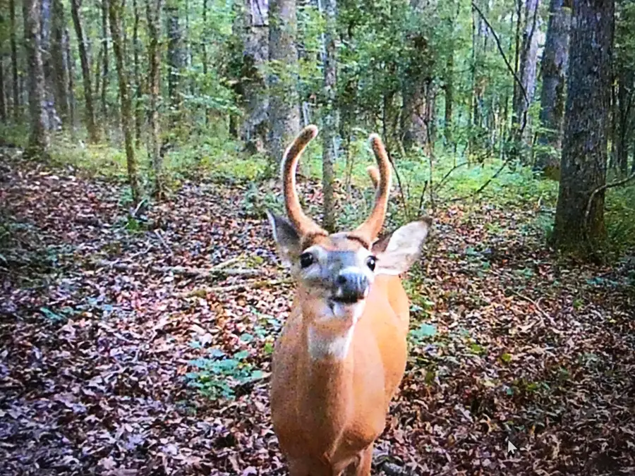 #2