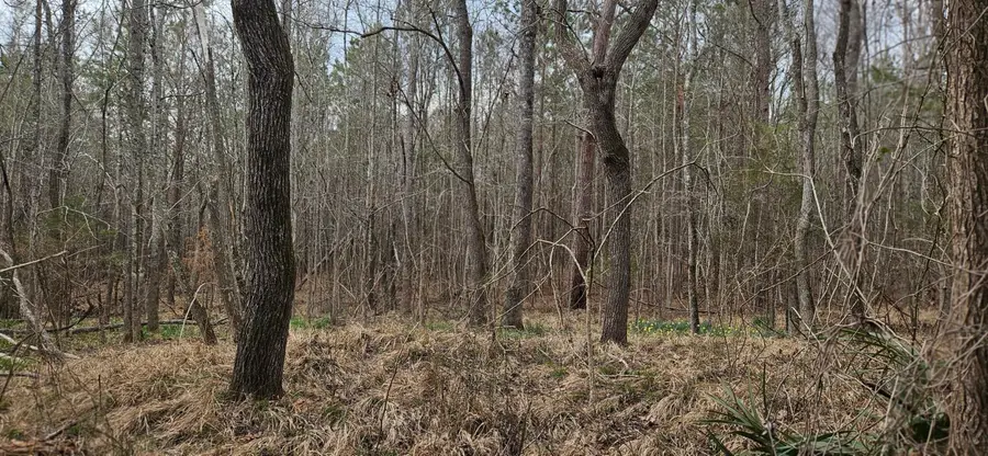 #3