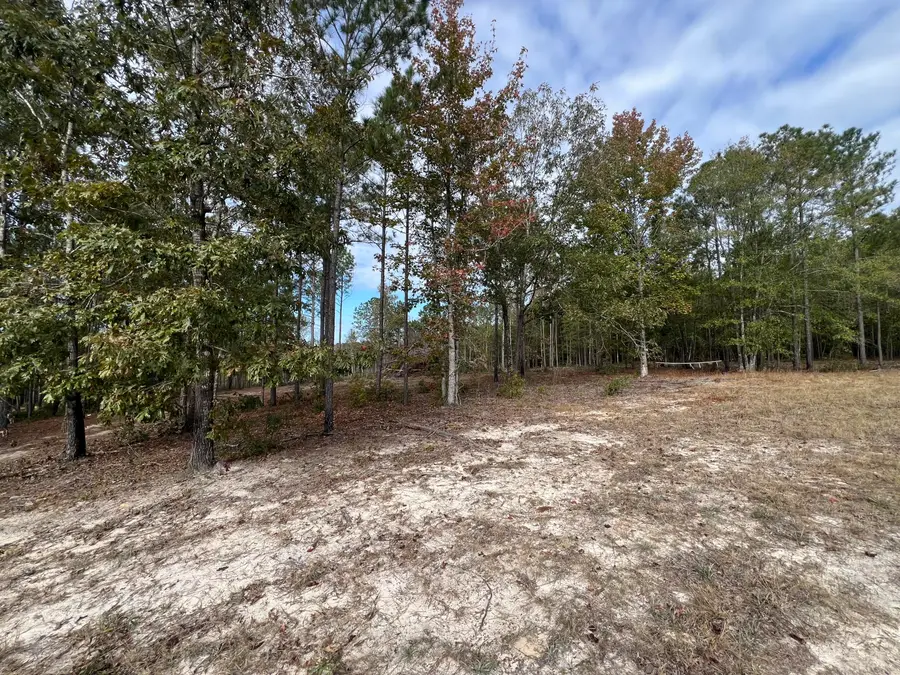 3479 Bastonville Road, Gibson, GA 30810 - Image #2