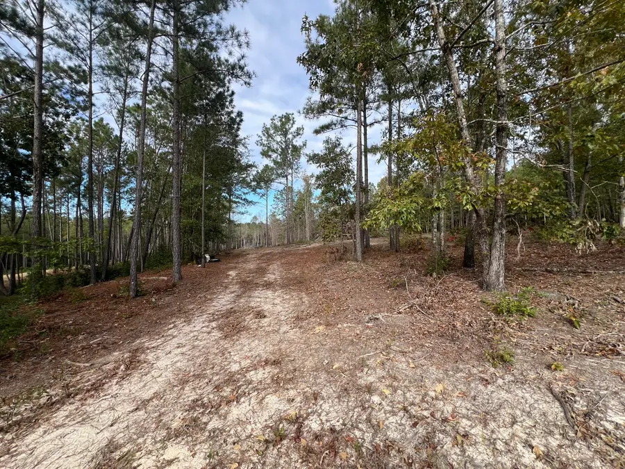 3479 Bastonville Road, Gibson, GA 30810 - Image #3