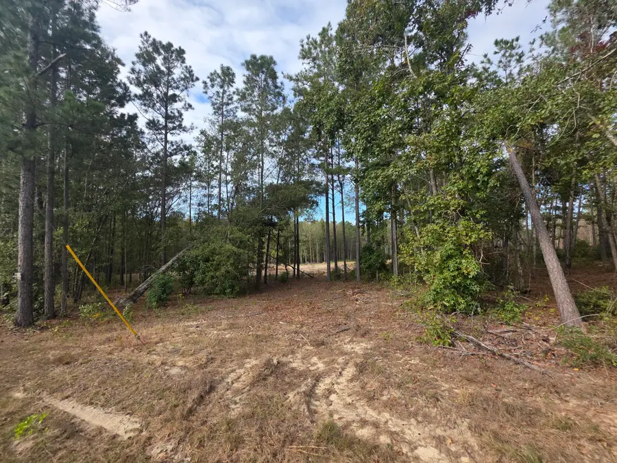 0 Bastonville Road, Gibson, GA 30810 - Image #2