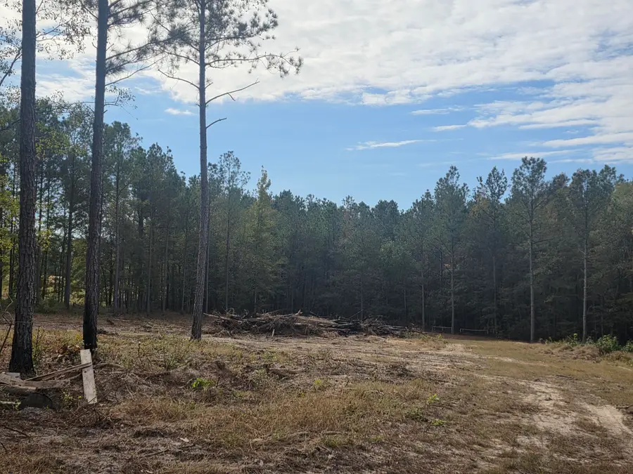 0 Bastonville Road, Gibson, GA 30810 - Image #3