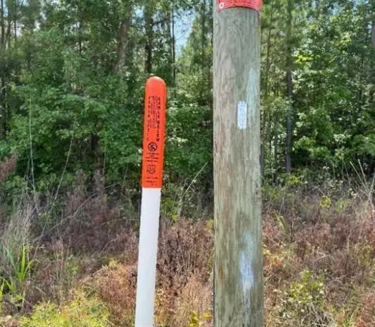 Lot M2 Old Edgefield Road, Ninety Six, SC 29666 - Image #2