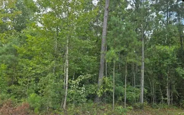 Lot M2 Old Edgefield Road, Ninety Six, SC 29666 - Image #3
