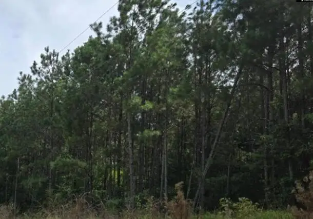 Lot M4 Old Edgefield Road, Ninety Six, SC 29666 - Image #1
