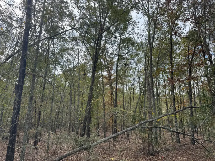 Lot 11 Highway 88, Blythe, GA 30805 - Image #2