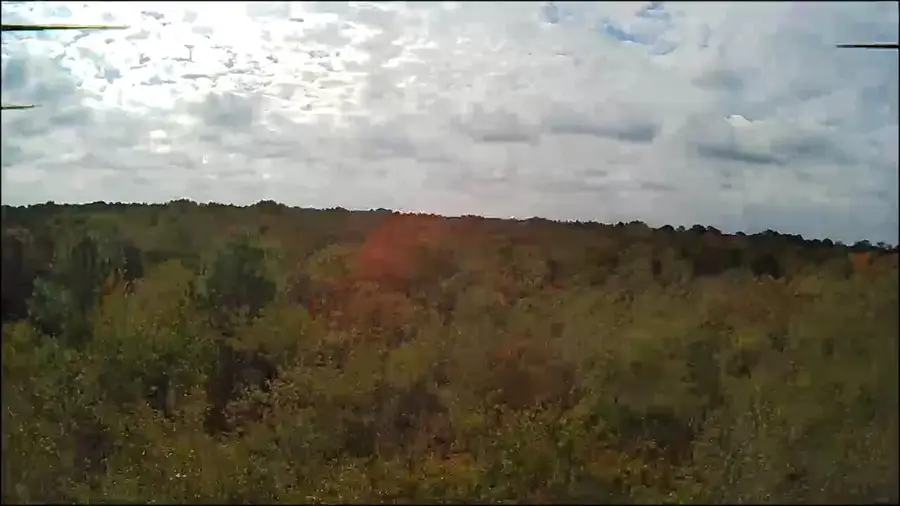 Lot 11 Highway 88, Blythe, GA 30805 - Image #3