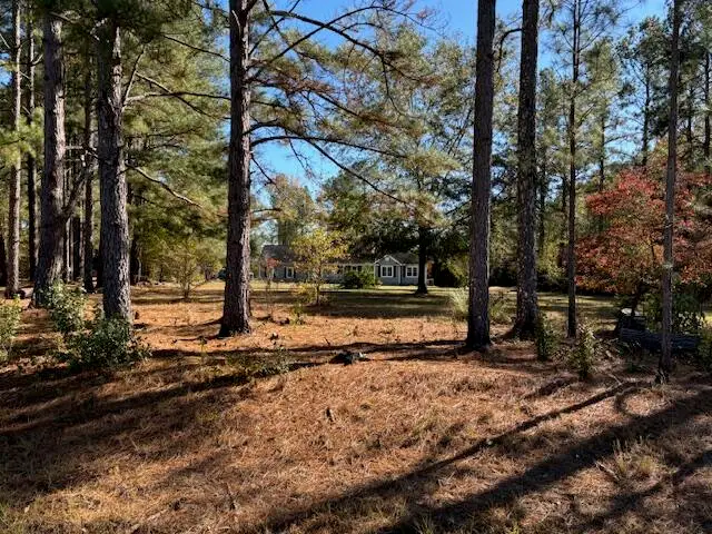 131 Marks Walden Rd Road, Blythe, GA 30805 - Image #2
