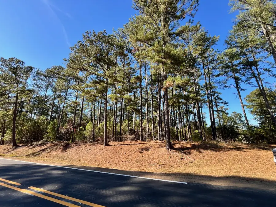 302 Georgeville Lane, Appling, GA 30802 - Image #3