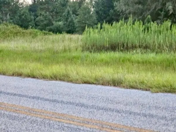 300 Home Tract Road, Waynesboro, GA 30830