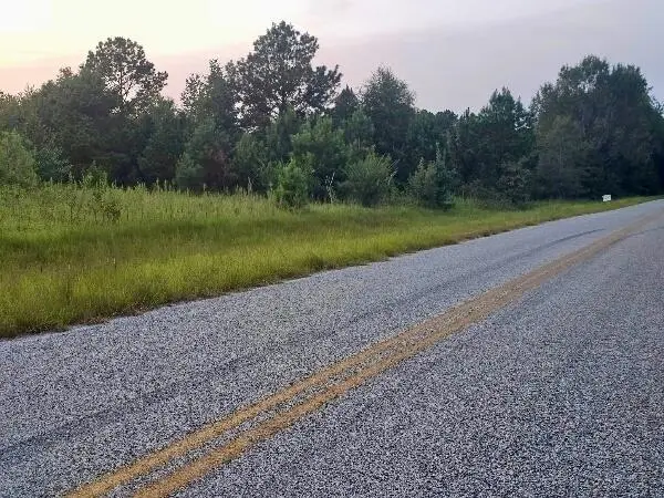 300 Home Tract Road, Waynesboro, GA 30830 - Image #2