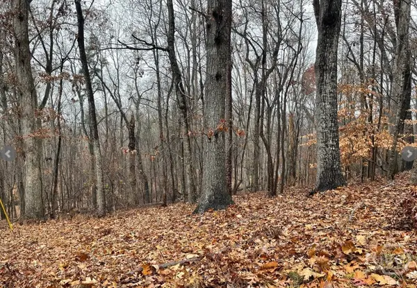 Lot 2134 S Arrowhead Drive, Westminster, SC 29693