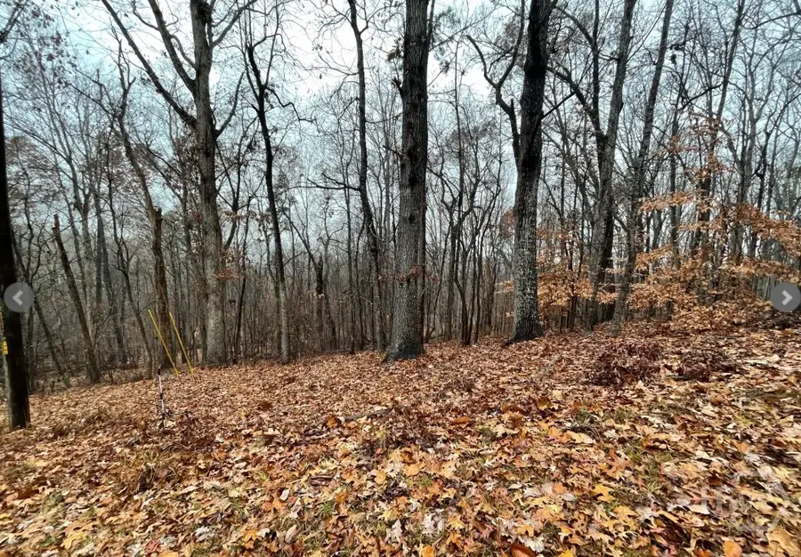 Lot 2134 S Arrowhead Drive, Westminster, SC 29693 - Image #2