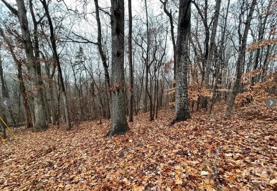 Lot 2134 S Arrowhead Drive, Westminster, SC 29693 - Image #3