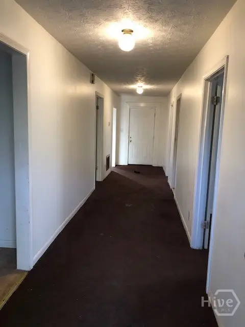 480 N Billups Street, Athens, GA 30606 - Image #3