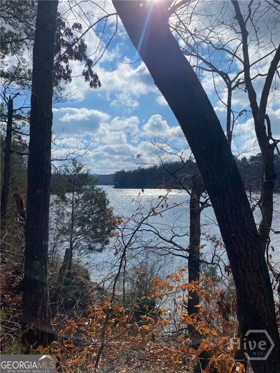 0 Gregg Shoals Drive, Elberton, GA 30635 - Image #2