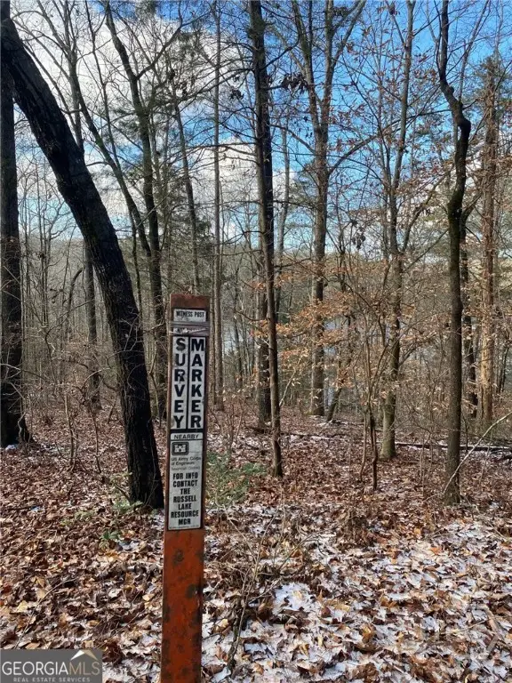 0 Gregg Shoals Drive, Elberton, GA 30635 - Image #3