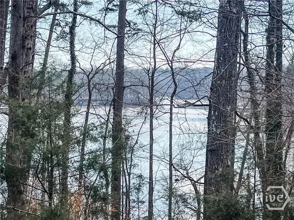 0 Rue Maurice #22-23, Lavonia, GA 30553