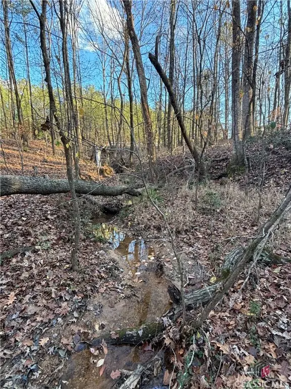 000 Lower River Road, Covington, GA 30016 - Image #3