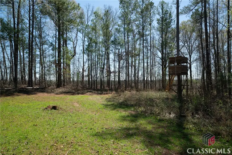 0 Carrs Station Road, Sparta, GA 31087 - Image #3