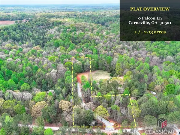 0 Falcon Lane, Carnesville, GA 30521